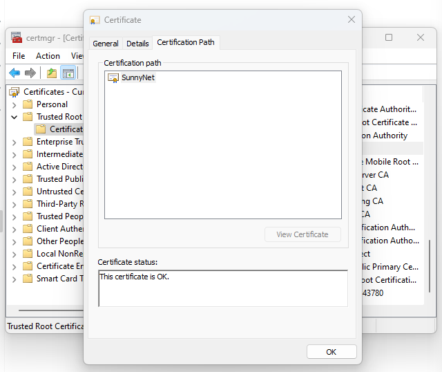 Windows 安装根证书-10
